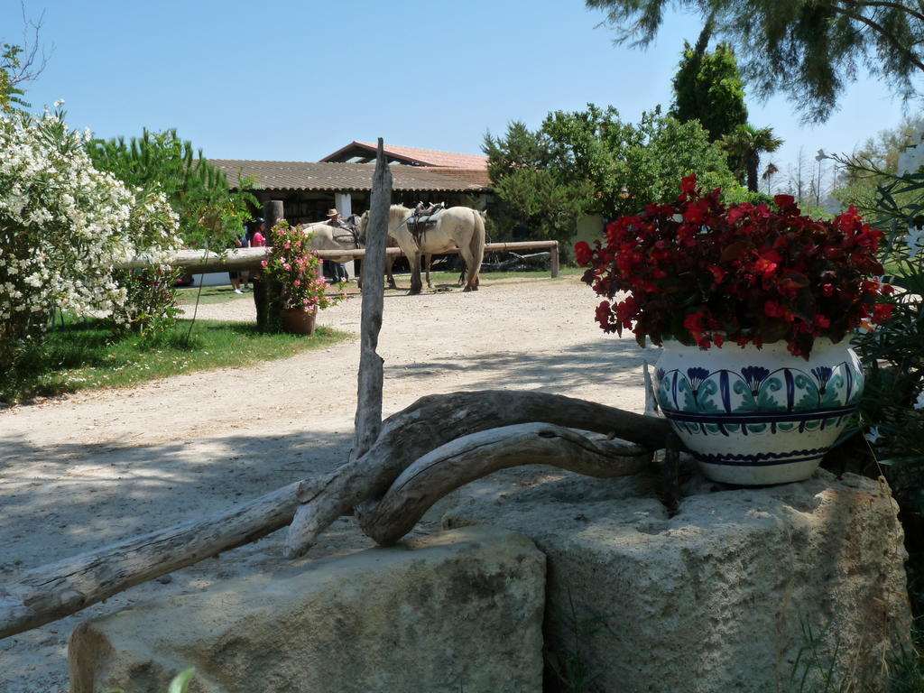 Bed and Breakfast Bergerie d'Alivon en Camargue Albaron Exterior foto